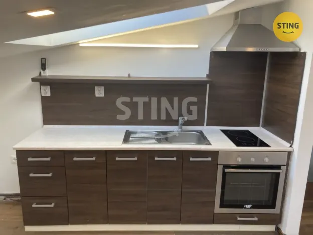 Pronájem bytu 1+kk, Opava, Hviezdoslavova, 47 m2