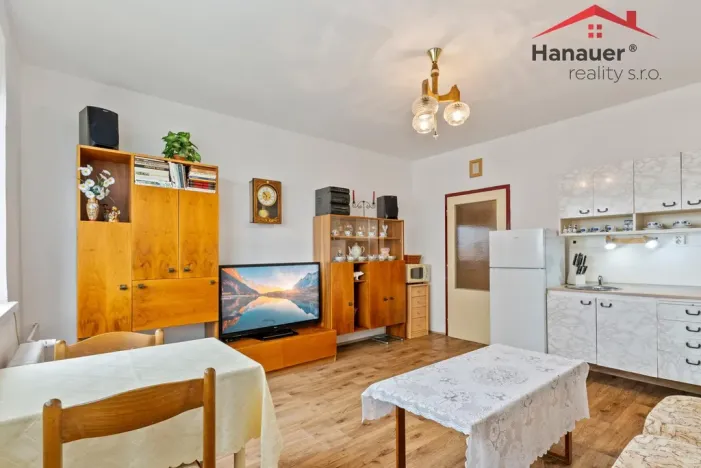 Prodej bytu 2+kk, Ústí nad Labem - Severní Terasa, Šrámkova, 40 m2