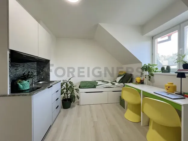 Pronájem pokoje, Praha - Libeň, Kotlaska, 18 m2