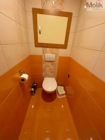 Prodej bytu 3+1, Chlumec, Zalužanská, 67 m2