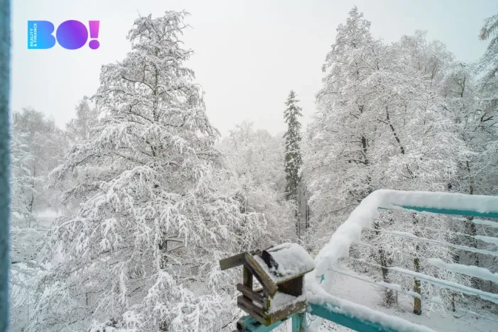 Prodej bytu 3+kk, Havířov - Město, Jaroslava Seiferta, 67 m2