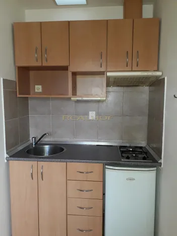 Pronájem bytu 1+kk, Brno - Lesná, Seifertova, 13 m2