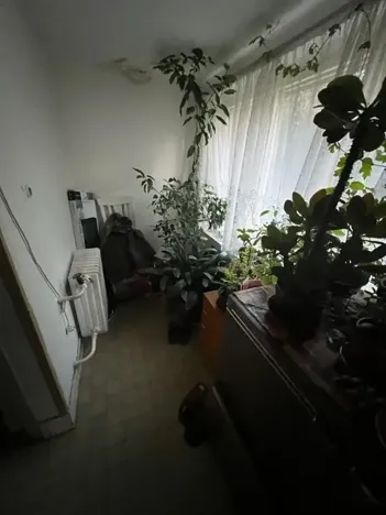 Prodej podílu vícegeneračního domu, Lužná, Čejkovka, 250 m2