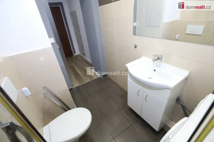 Pronájem bytu 2+kk, Karlovy Vary - Drahovice, Vrchlického, 56 m2