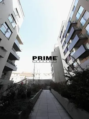 Pronájem bytu 2+kk, Praha - Žižkov, Prokopova, 62 m2