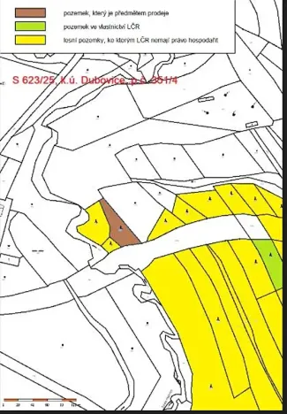 Prodej lesa, Dubovice, 1386 m2