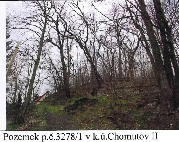 Prodej lesa, Chomutov, 4247 m2