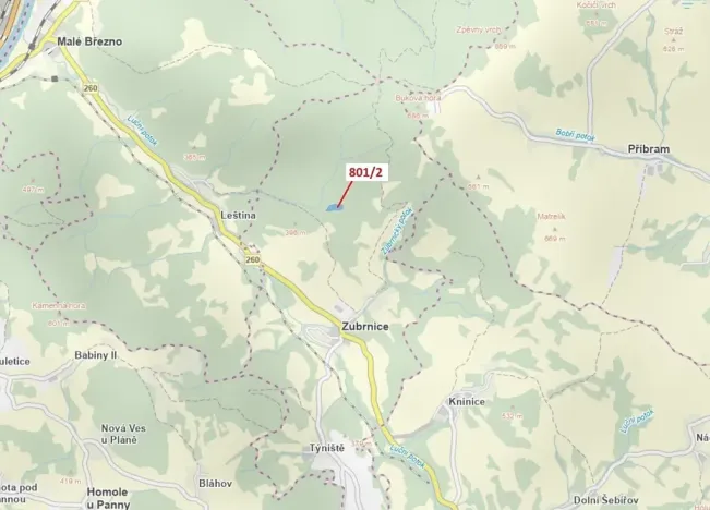 Dražba lesa, Zubrnice, 8765 m2