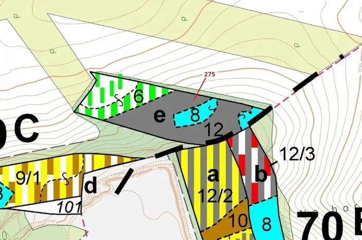 Dražba lesa, Jeviněves, 10319 m2