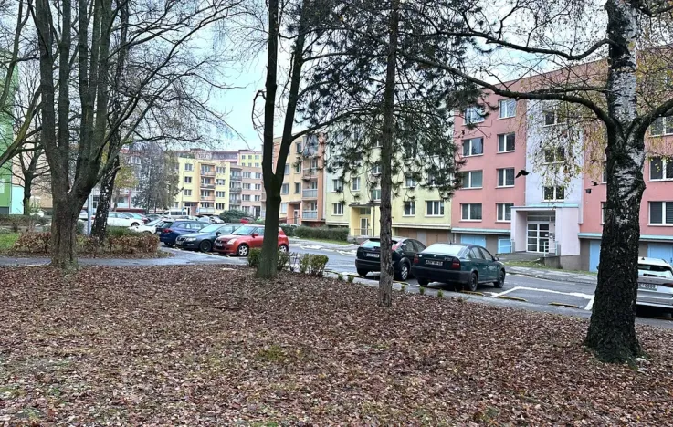 Prodej bytu 3+1, Ostrava, Jana Ziky, 81 m2