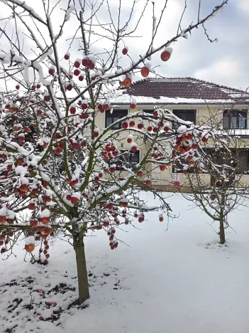 Prodej vily, Svárov, Ptická, 326 m2