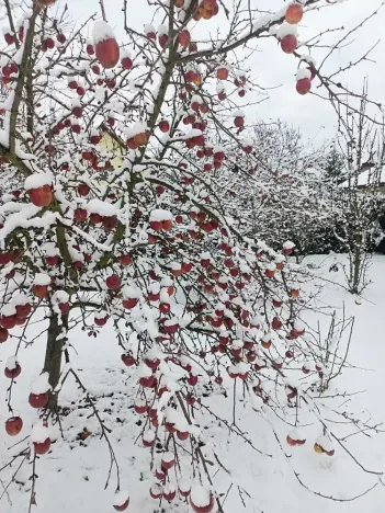 Prodej vily, Svárov, Ptická, 326 m2