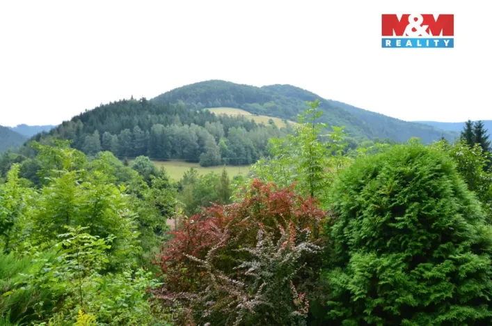 Prodej rodinného domu, Štěpánov nad Svratkou, 110 m2