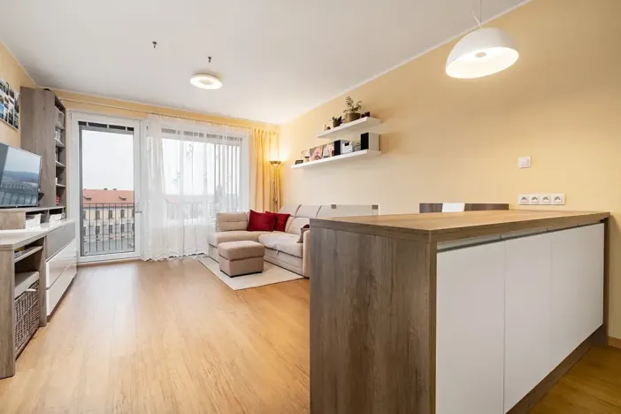 Prodej bytu 2+kk, Plzeň, Sladová, 54 m2