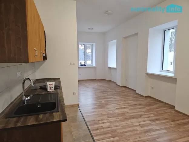 Pronájem bytu 3+kk, Luby, Revoluční, 56 m2