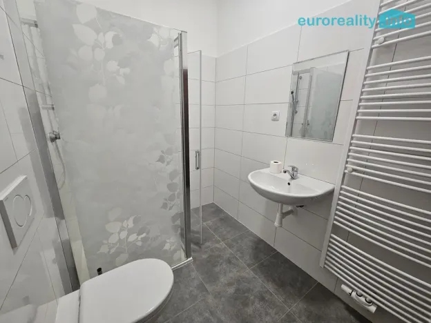 Pronájem bytu 3+kk, Luby, Revoluční, 56 m2