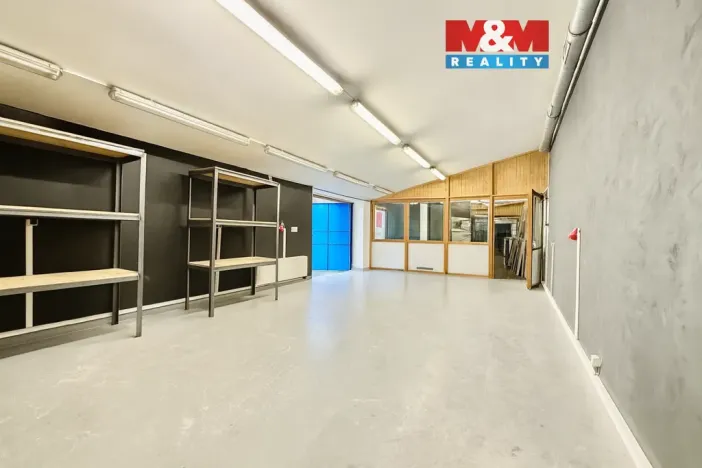 Pronájem výrobních prostor, Praha - Letňany, Beranových, 46 m2