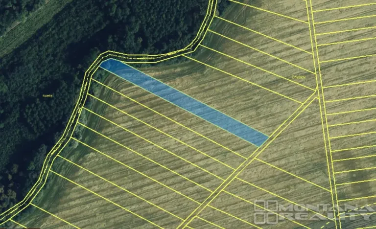 Prodej pole, Tovačov, 3529 m2