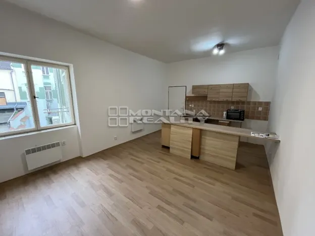 Pronájem bytu 2+kk, Olomouc, Riegrova, 46 m2