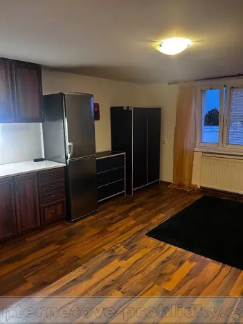 Pronájem bytu 1+kk, Praha - Řepy, Krolmusova, 22 m2