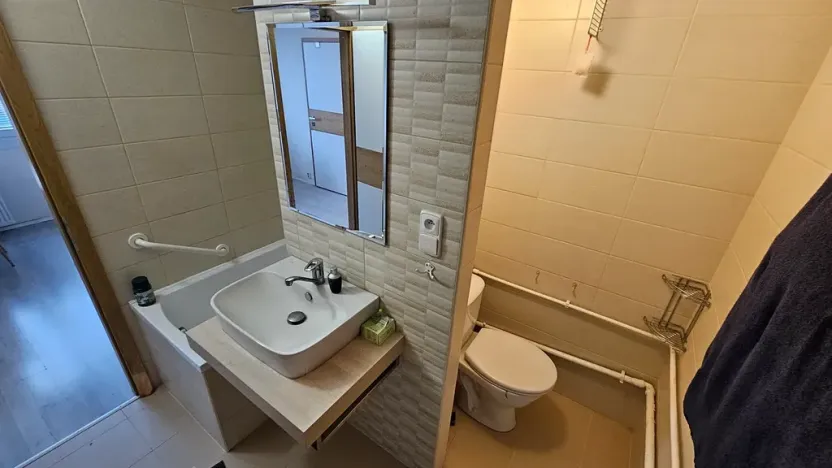 Pronájem bytu 1+1, Teplice, Antala Staška, 35 m2