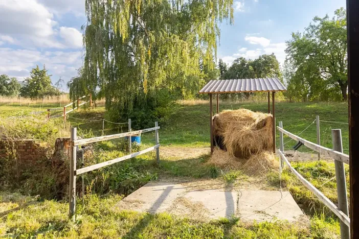 Prodej vícegeneračního domu, Bžany, 240 m2