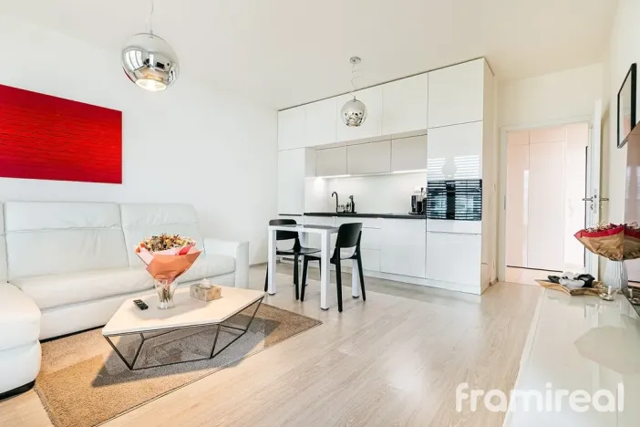 Pronájem bytu 2+kk, Brno, Firkušného, 57 m2