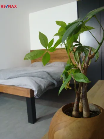 Pronájem bytu 1+kk, Brno - Královo Pole, Boženy Němcové, 25 m2