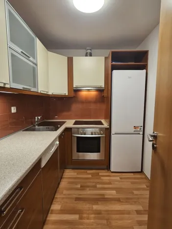 Pronájem bytu 1+kk, Praha - Břevnov, 8. listopadu, 41 m2