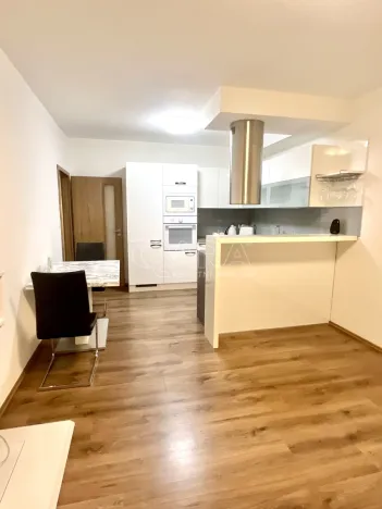 Pronájem bytu 2+kk, Plzeň - Bolevec, U Velkého rybníka, 58 m2