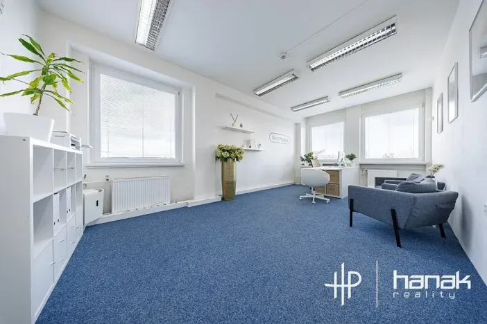 Pronájem kanceláře, Olomouc, Karolíny Světlé, 30 m2