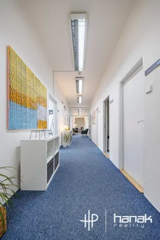 Pronájem kanceláře, Olomouc, Karolíny Světlé, 30 m2