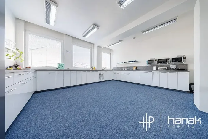 Pronájem kanceláře, Olomouc, Karolíny Světlé, 50 m2