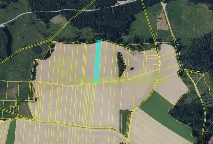 Prodej podílu pole, Doubravice nad Svitavou, 2937 m2