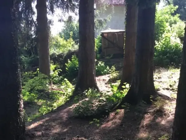 Prodej lesa, Česká Čermná, 419 m2