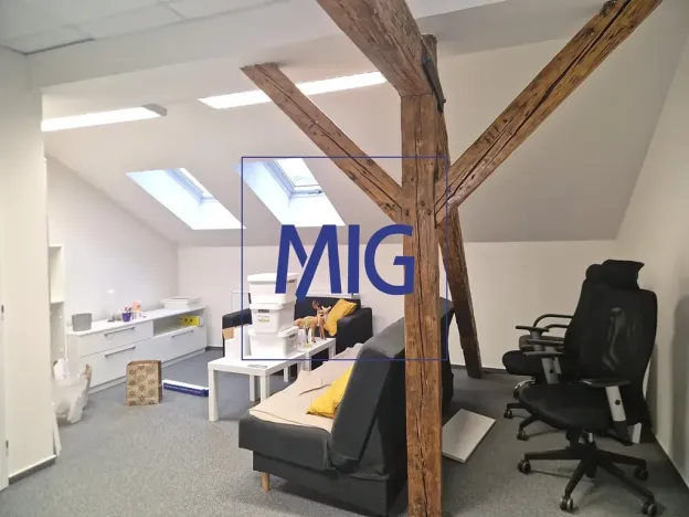 Pronájem kanceláře, Brno, Kounicova, 159 m2