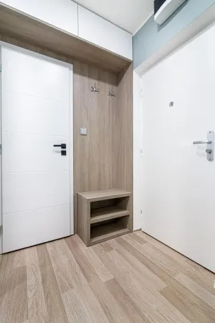 Prodej bytu 2+kk, Ostrava, Čujkovova, 29 m2