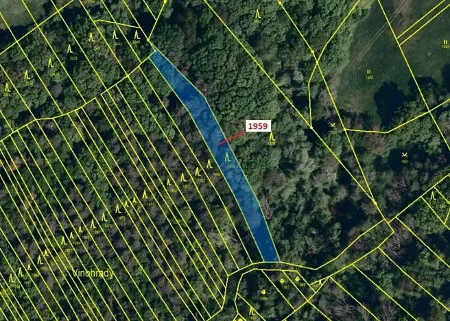 Dražba lesa, Kelníky, 1160 m2