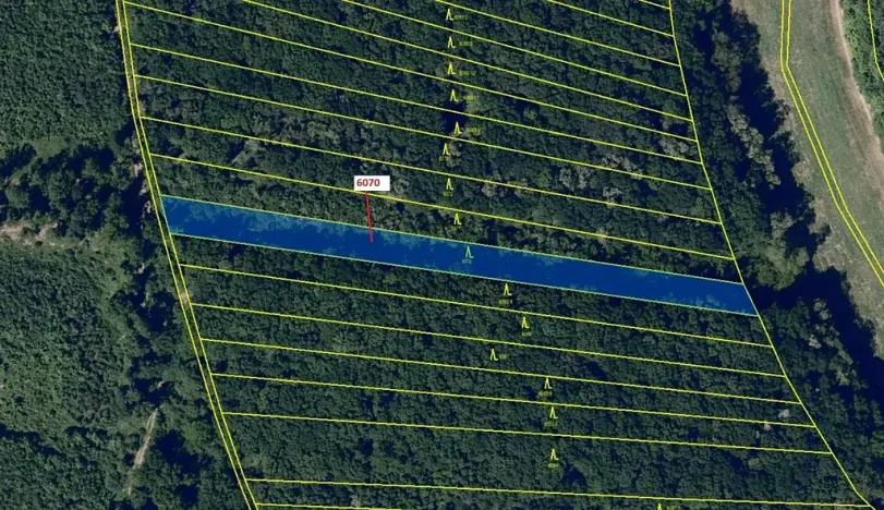 Dražba lesa, Archlebov, 2892 m2