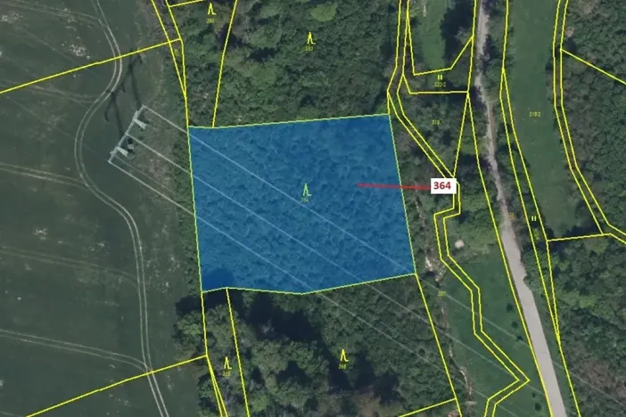 Dražba lesa, Vysoké Mýto, 4766 m2