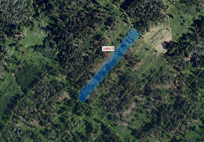 Dražba lesa, Veverské Knínice, 3926 m2