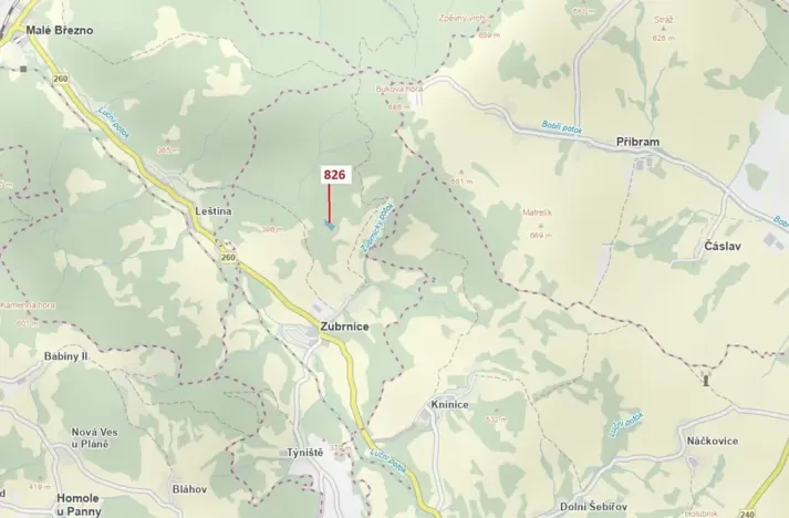 Dražba lesa, Zubrnice, 4610 m2