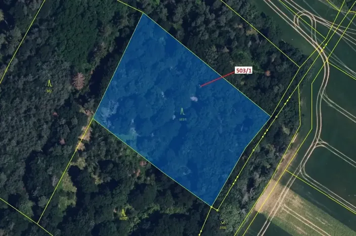 Dražba lesa, Přemyslovice, 7049 m2