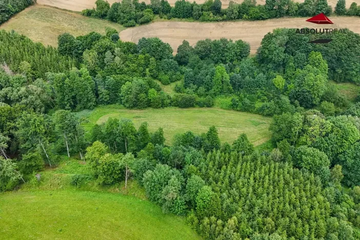 Prodej rybníku, Petrov, 7803 m2