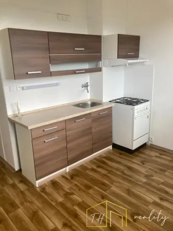 Prodej bytu 1+1, Ústí nad Labem - Severní Terasa, Stavbařů, 42 m2