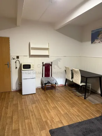 Pronájem atypického bytu, Praha - Košíře, Vrchlického, 20 m2