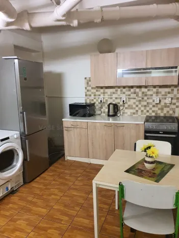 Pronájem atypického bytu, Praha - Košíře, Vrchlického, 20 m2