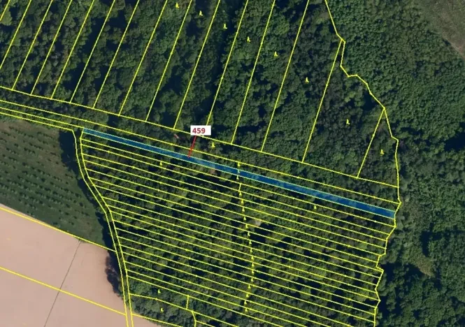 Dražba lesa, Hradčany-Kobeřice, 1895 m2