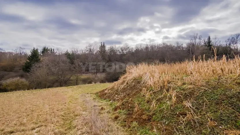 Prodej pozemku pro bydlení, Obora, 1105 m2