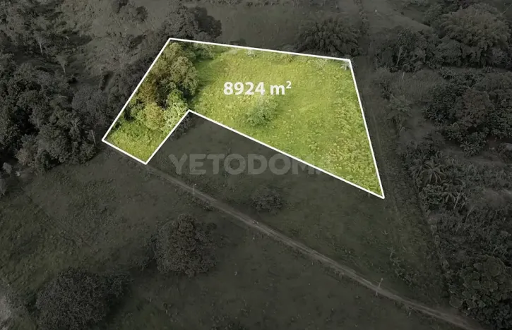 Prodej pozemku pro bydlení, Puerto Jiménez, Kostarika, Calle Los Pollos, 8924 m2